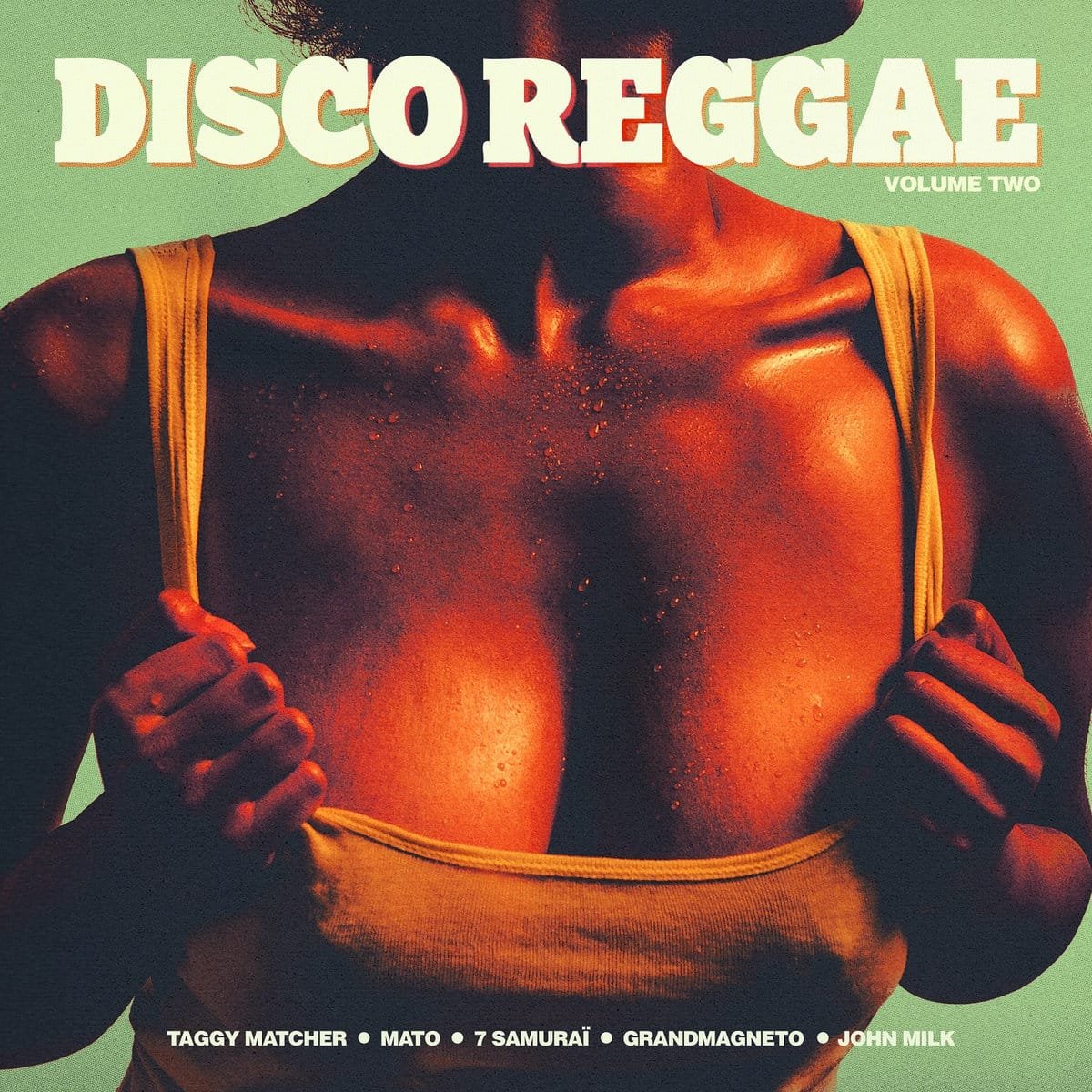 Various - Disco Reggae Volume 2 3 Various - Disco Reggae Volume 2